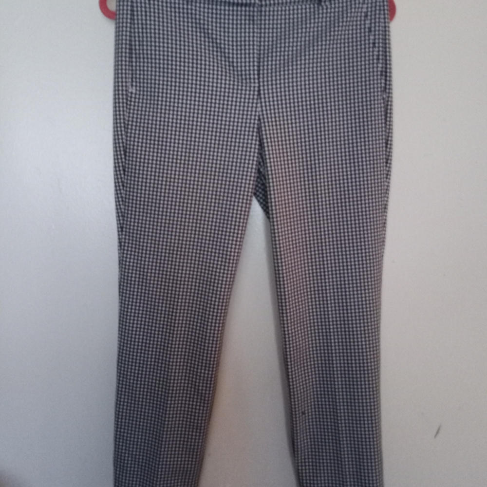 Dress pants